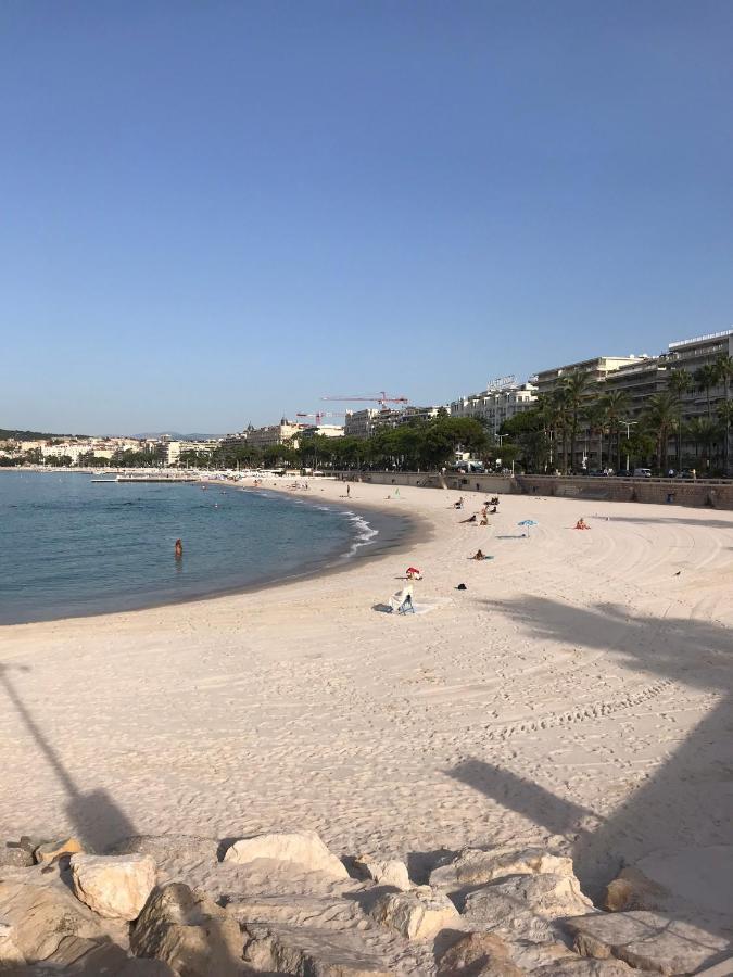 Tres Beau T2 Dans Parc Montfleury ,Proche Centre ,Au Calme 44 Bd Montfleury Apartment Cannes Exterior photo